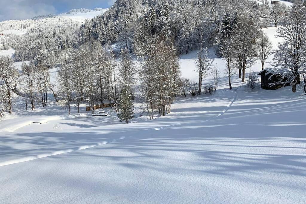 Zuhaus Schernfeichten Kitzbühel Exteriér fotografie