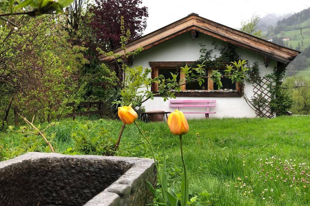 Zuhaus Schernfeichten Kitzbühel Exteriér fotografie